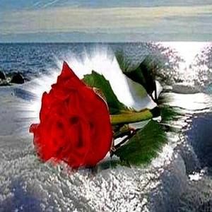 Meet your Posher, Sonya